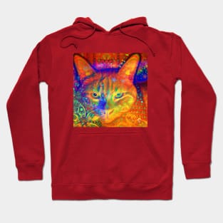 Orange-Red Kitty Cat Batik Design Hoodie